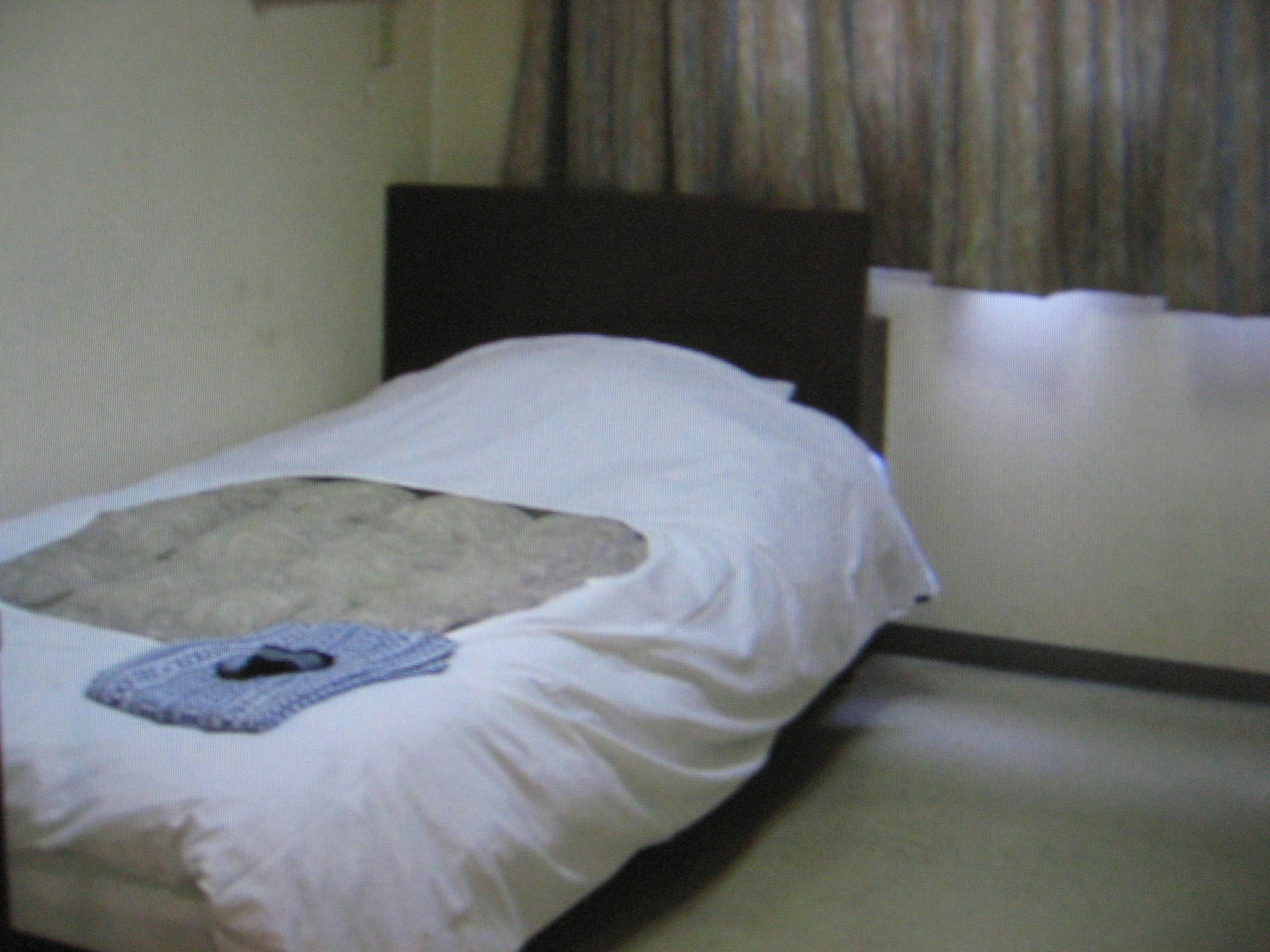 Business Hotel Shinsuma 碧南市 エクステリア 写真